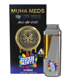 GUSH MINTZ